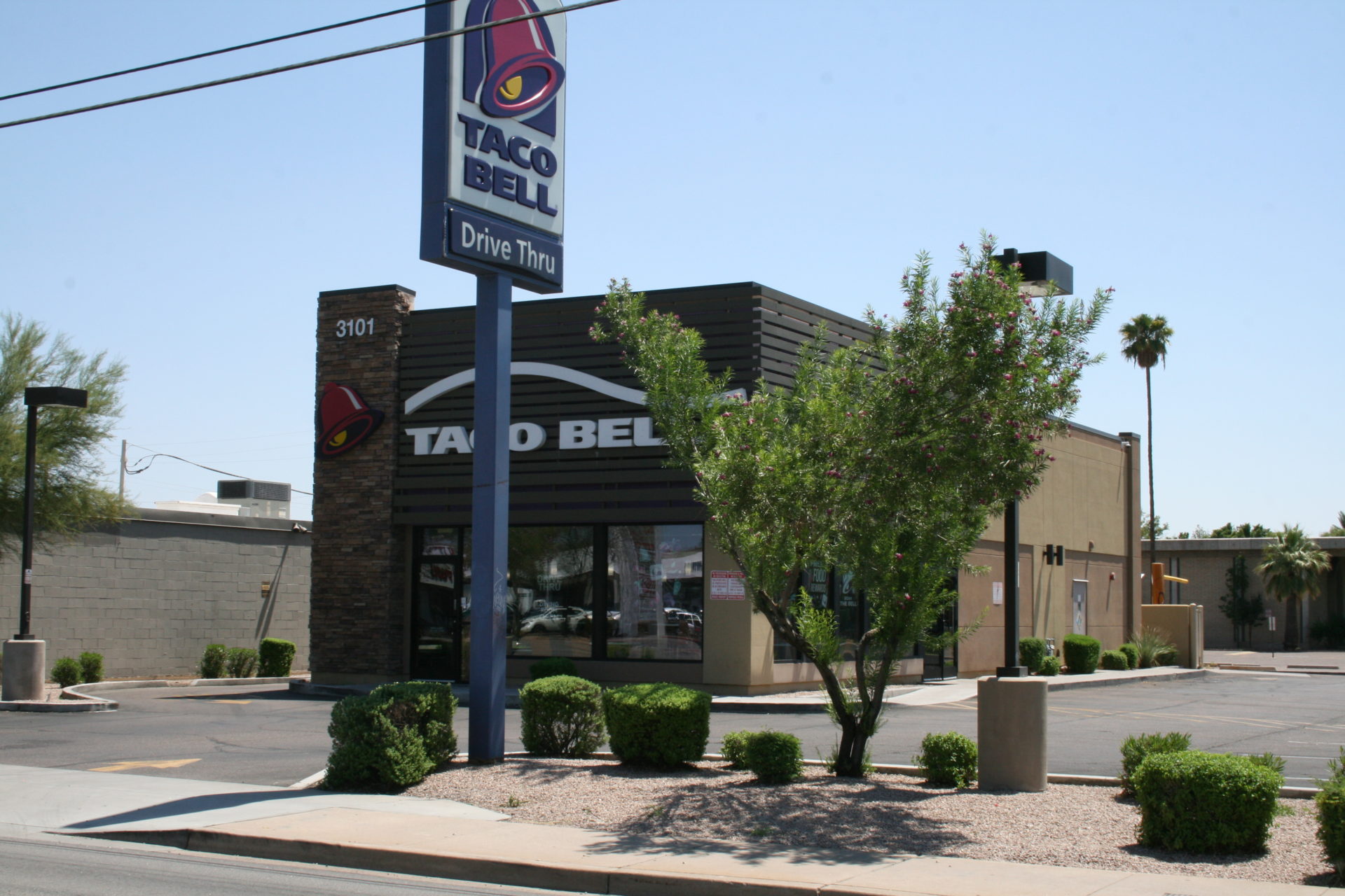 A taco bell restaurant with a tree in front of it.