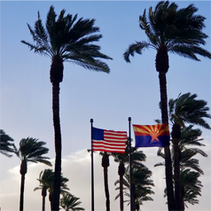 A view of palm trees with the american flag and arizona state flag.